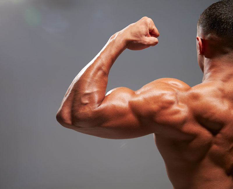The most distinctive feature of the hand is its ability to grasp, pinch, hold, and carry, but there are many ways in which the ability of the hand to perform its tasks can be interfered.