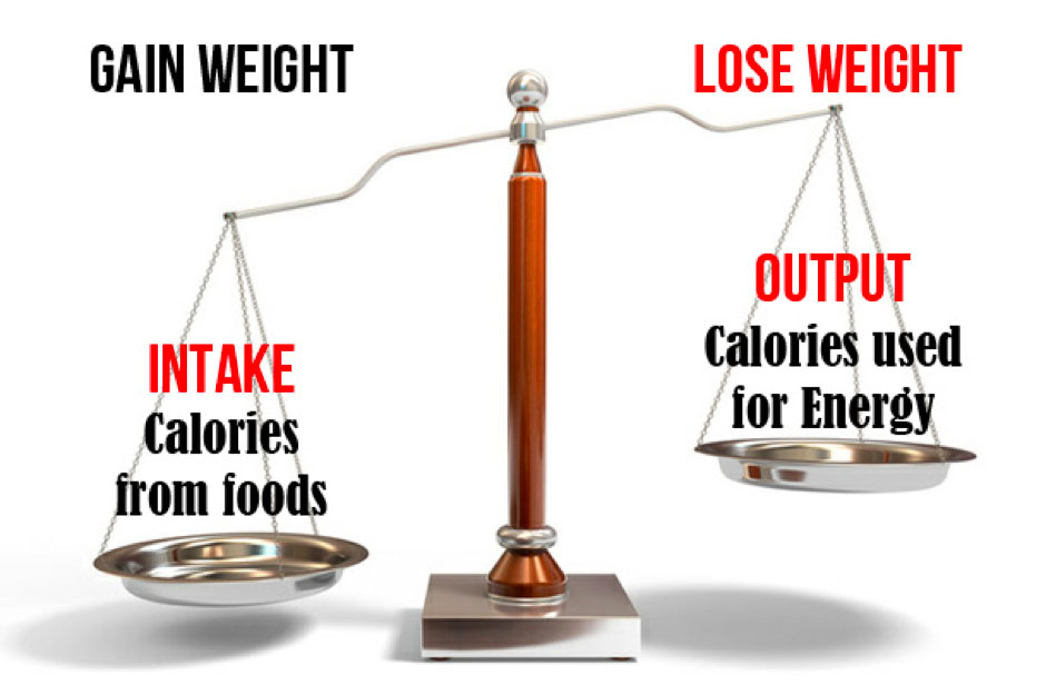 Calorie intake from foods vs Calorie Output used for energy